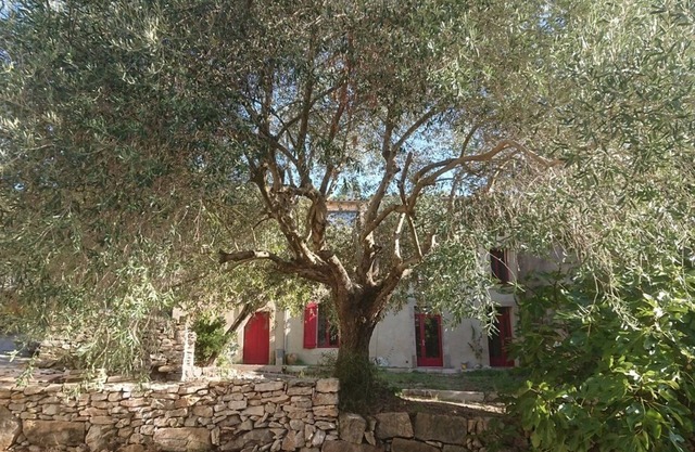 Grande Maison Familiale en Pays Cathare