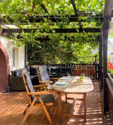 Großes Glück im Waldglück Pfalz