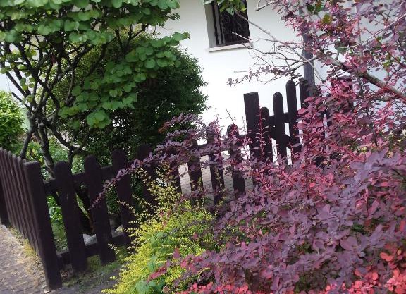 Ground floor,Top level