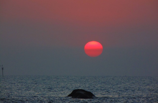 GuestHouse Elephant Ilhabela