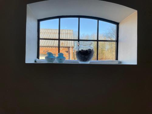 Højmosegård værelse 4