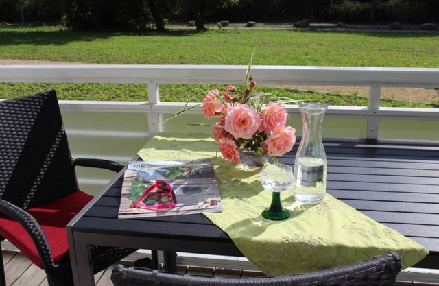 H7-W3 (free WiFi, pets possible) - DUENENROSE App Nr 03 max 3 pers