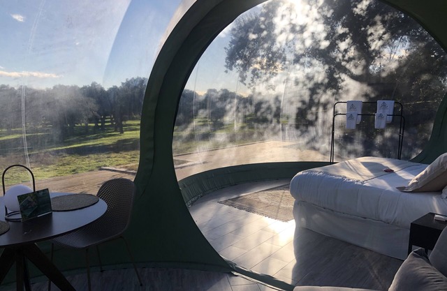 Habitación Burbuja Doble con Vistas al Campo y Piscina