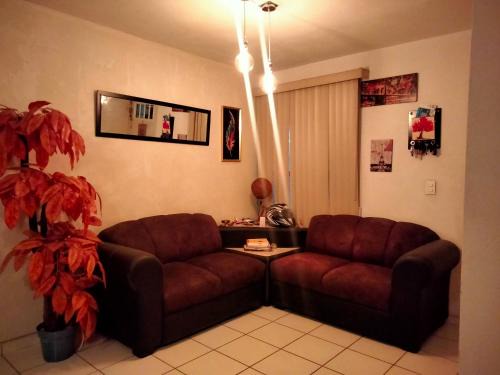 Habitación Pedregal