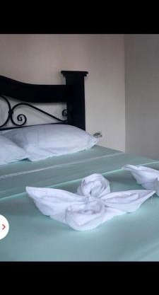 Habitaciones sierpe de osa