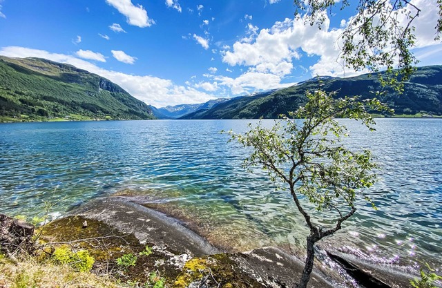 Haukedalspanorama by Interhome