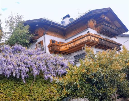 Haus Gläserer apartments