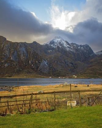 Heimly, cosy house in a fjord