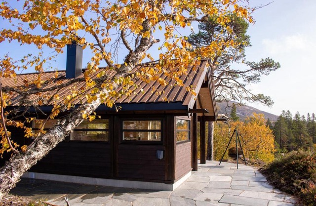 Heimstølen - Cabin at Sørbølfjell