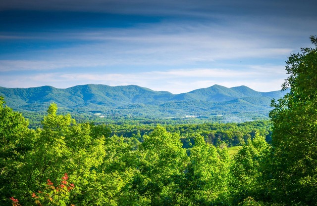 High up on Mtn - View & Hot Tub for an 'Altitude-Adjustment'