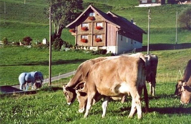 Holiday apartment Flumserberg Bergheim for 1 - 6 persons with 3 bedrooms - Farmhouse