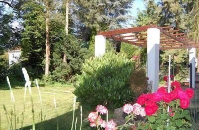 Holiday apartment Bad Nauheim for 1 - 3 persons with 1 bedroom - Holiday apartment