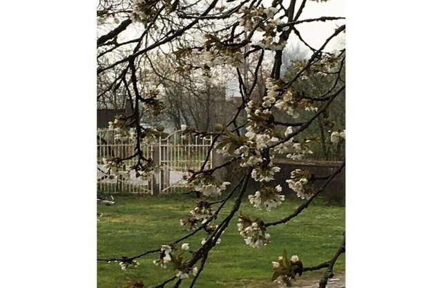 Holiday apartment in Nahrendorf with barbecue