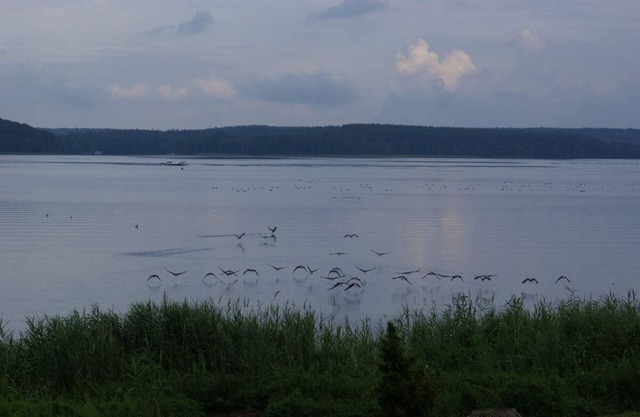 Holiday apartment Plau am See for 1 - 2 persons with 1 bedroom - Holiday house