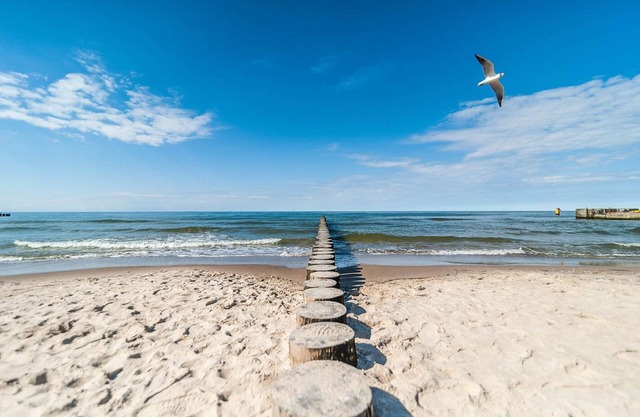 Holiday cottages, sauna, whirlpool, Mrzeżyno
