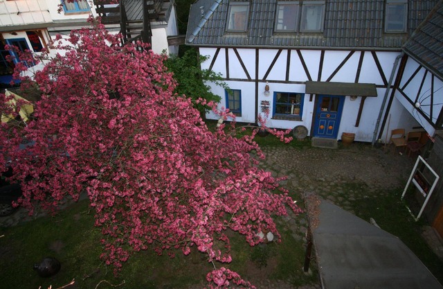 Holiday flat in Retschow with barbecue and garden