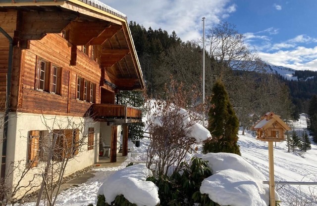 Holiday house Hasliberg Wasserwendi for 1 - 8 persons with 3 bedrooms - Detached holiday house