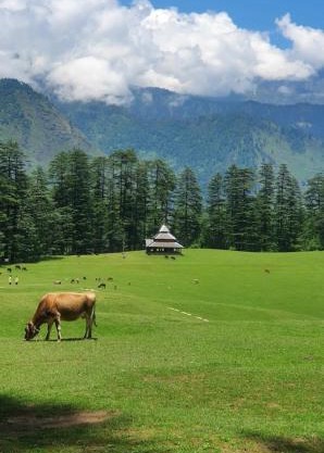 Holiday Home shangharh