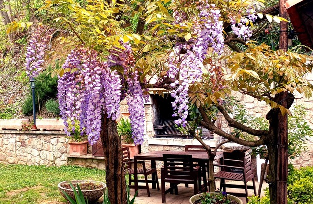 Holiday Home 'Villino San Silvestro' with Mountain View, Garden & Wi-Fi