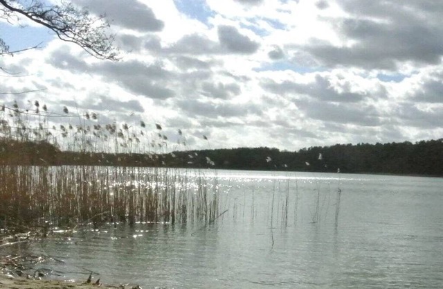 Holiday home with 1 bedroom