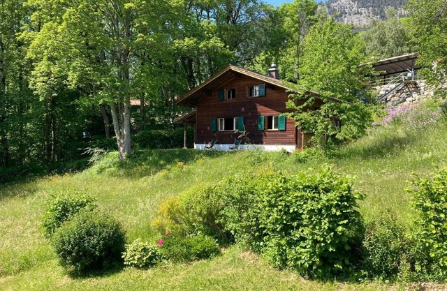 Holiday house Hasliberg Hohfluh for 1 - 8 persons with 3 bedrooms - Detached holiday house