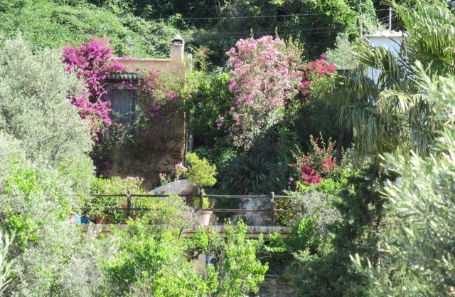 Holiday house Orgiva for 1 - 2 persons with 1 bedroom - Casa Rural