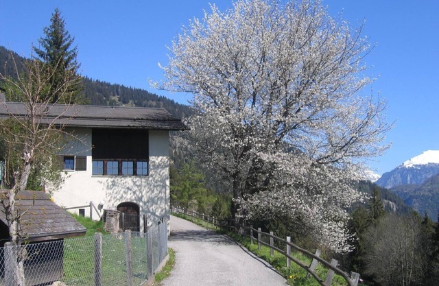 Holiday house Präz for 1 - 8 persons with 4 bedrooms - Detached holiday house