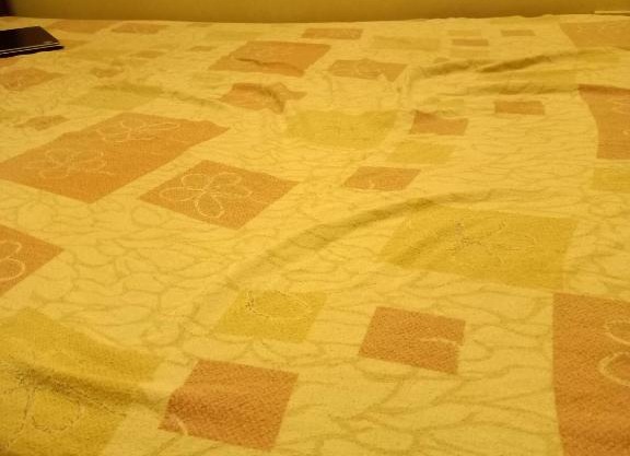 Holiday Inn Express Guest House