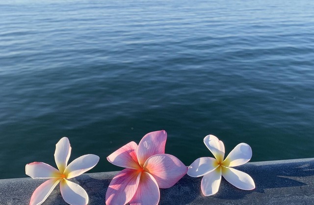 Holiday’s🎄@ Pineapple Cottage. Steps to Ocean.🌊RELAX & ENJOY 😎the beach.⛱️