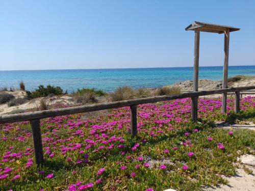 Home Salento 2