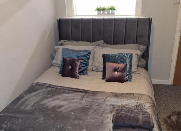 Homely Apartment