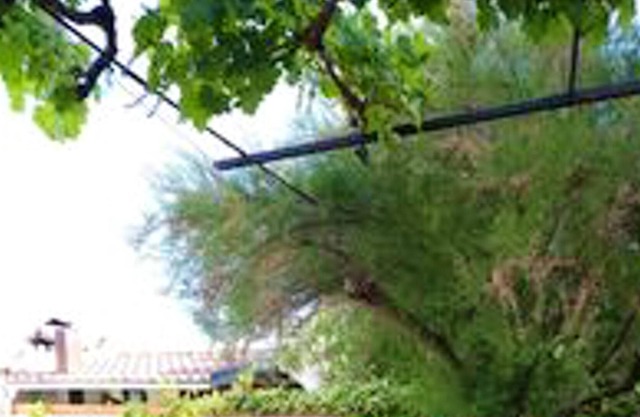 Homerez - Big house for 12 ppl. with garden and terrace at Ivanrey