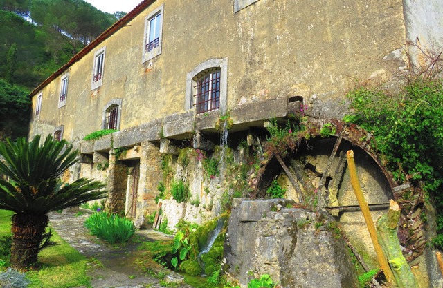 Homerez - Cozy House with Porto de Mós View