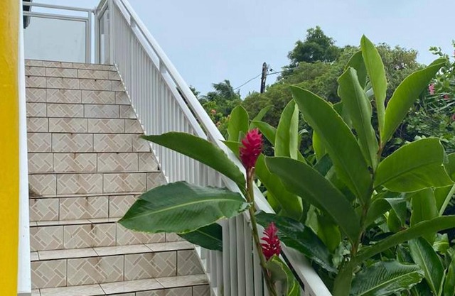 Homerez - Nice appartement for 4 ppl. with balcony at Le Moule