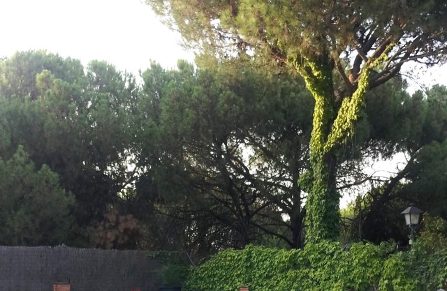 Homerez - Villa for 10 ppl. with swimming-pool, garden and terrace at Córdoba