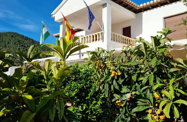 Homerez - Villa for 14 ppl. with swimming-pool, garden and terrace at Cónchar