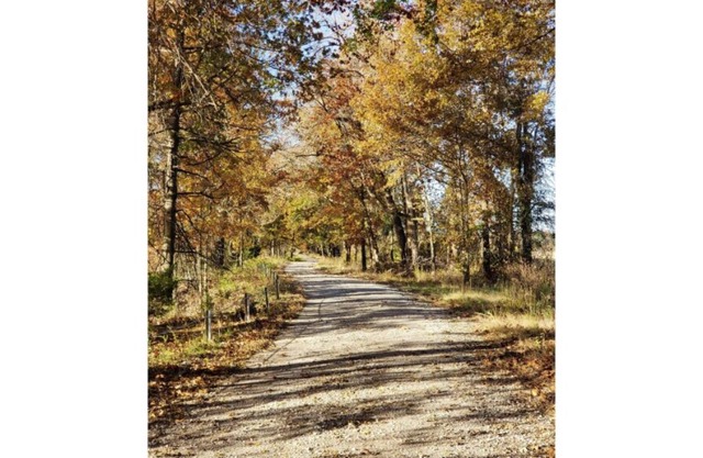 Honey Creek Hideaway at Back Country Camp