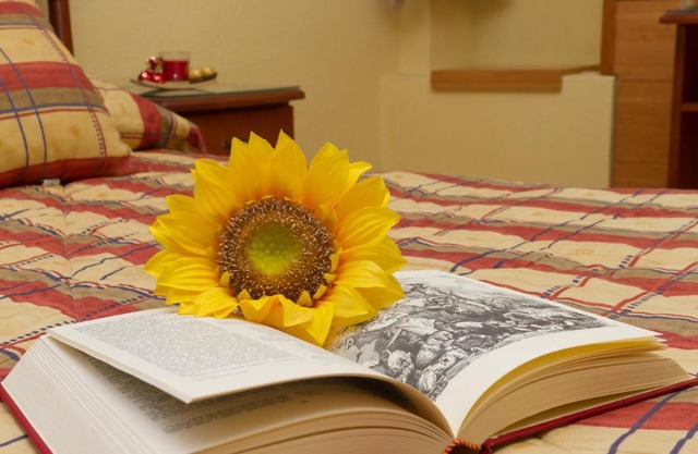 Hostal Siete Picos
