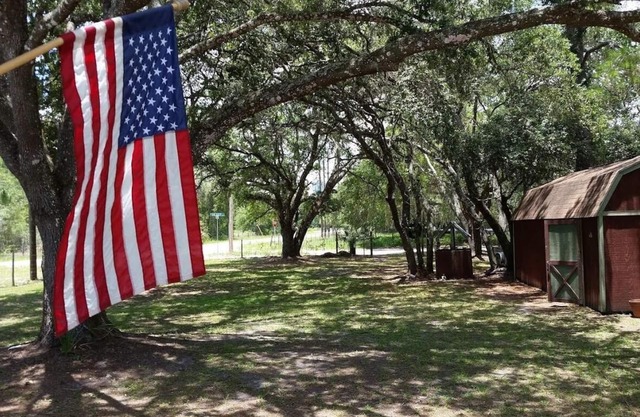 Hosting the NFL Sunday Ticket, Your ultimate weekend destination, La Fish Camp.