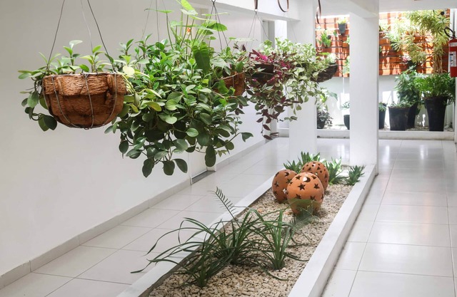 Hotel Encantos De Penedo