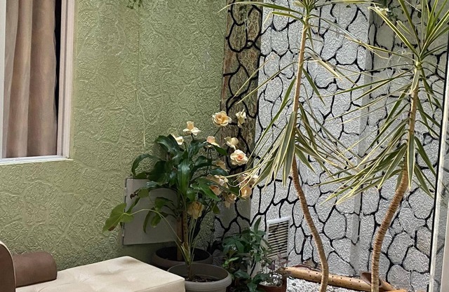 Hotel Linaje Real Popayan