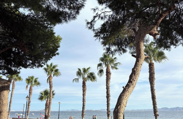 House by the beach, ideal for families looking for peace and disconnection.