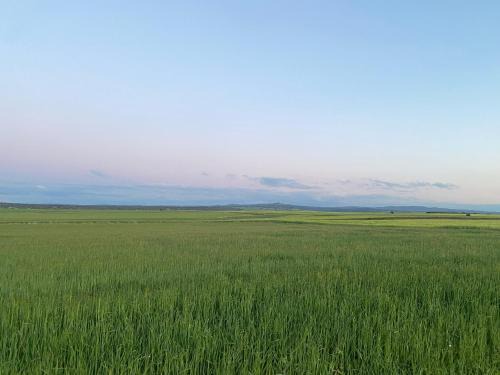House in nature with a spa and large garden