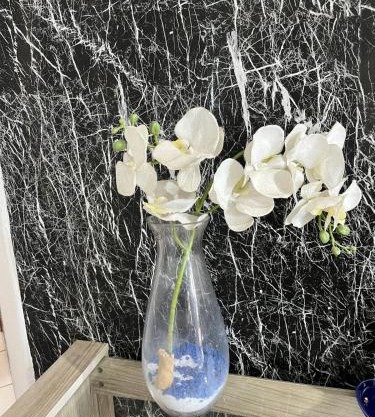 House style Apartment! prox to the Airport