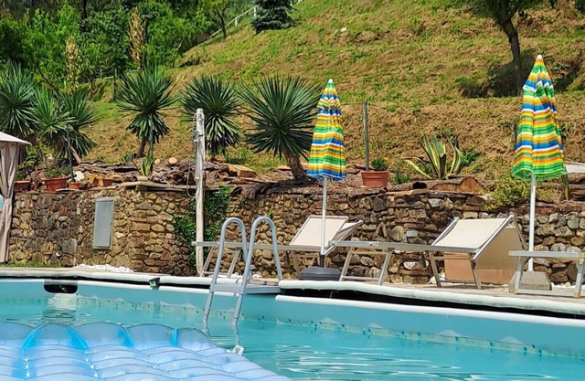 House surrounded by greenery with swimming pool and whirlpool.