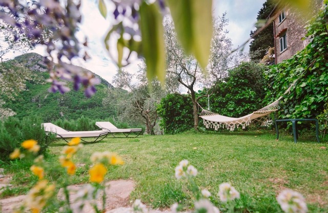 House with a view of olive trees, walnuts and laurels.