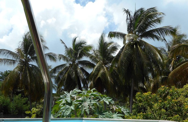 House with swimming pool and private garden 400 metres from the beach and shops