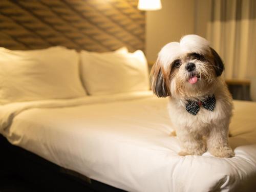 ibis Juazeiro do Norte