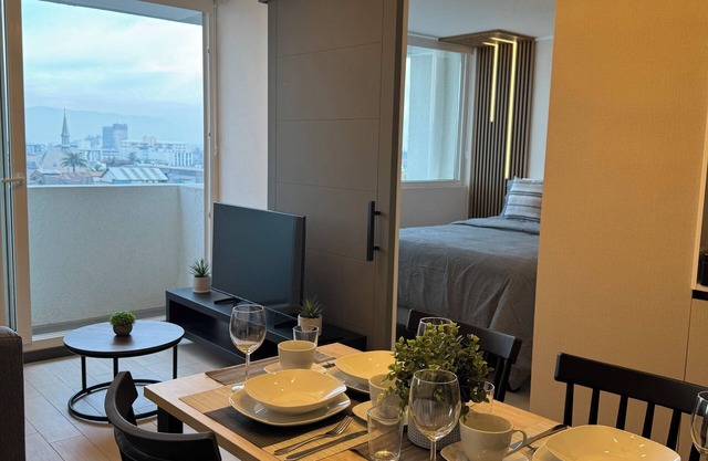 Ideal apartment a few steps from La Moneda in Santiago, air-conditioned with wifi.
