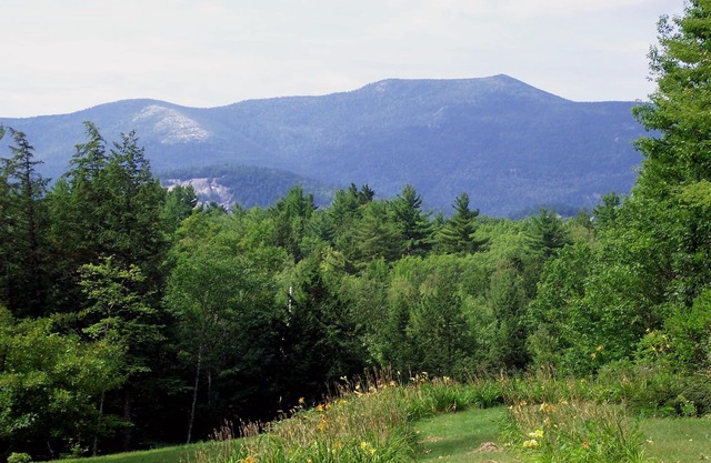 Ideal location: 5min. to Cranmore Adventure, 10 to Storyland, 15 min. to Outlets